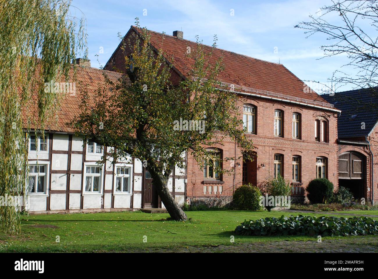 31.10.2013 Schernikau Deutschland/ Sachsen Anhalt/ Altmark/ Altmarkkreis Salzwedel/ Schernikau bei Arendsee/ Dorfansicht/ Wohnhäuser/ links ein Fachwerkhaus/ rechts daneben ein zweistöckiges Backsteinhaus/ Vorgarten/ Bäume *** 31 10 2013 Schernikau Germany Saxony Anhalt Altmark Altmarkkreis Salzwedel Schernikau near Arendsee village view residential houses left a half-timbered house right a two-storey brick house front garden trees Stock Photo