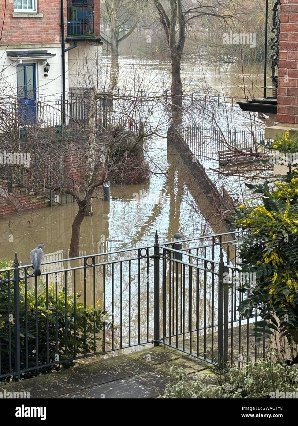 Flooding outside Benbow Quay in Shrewsbury, Shropshire, following heavy rainfall. The Met Office has issued a yellow weather warning from 12pm on Thursday, with rainfall expected to travel in a north-east direction across the south of England, lasting until 3am on Friday. Picture date: Thursday January 4, 2024. Stock Photo