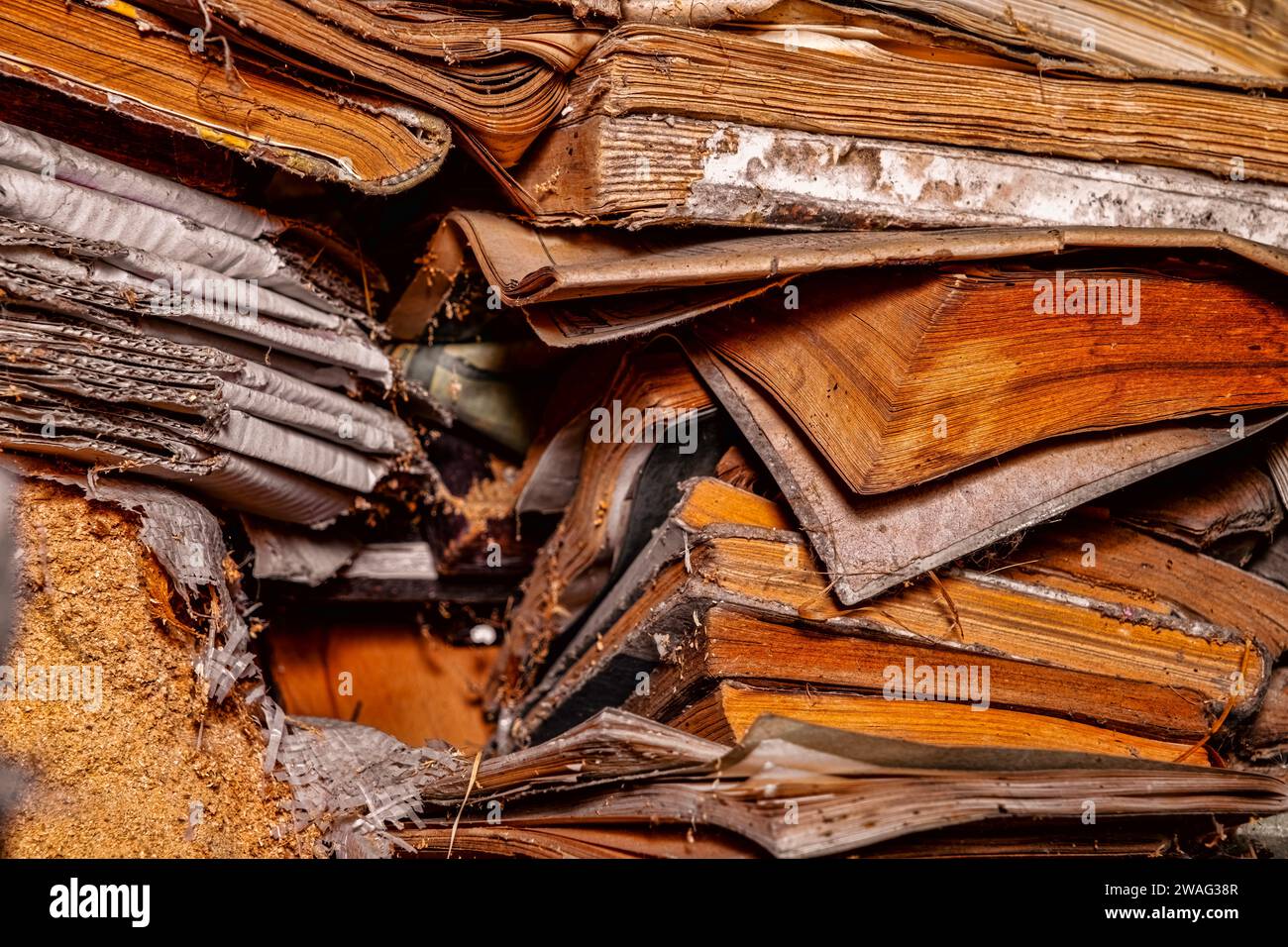 old books in the attic gnawed by mice Stock Photo
