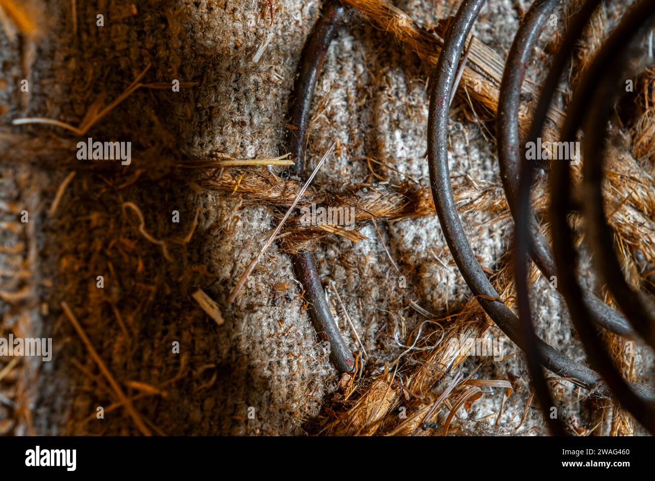 The internal structure of the spring mattress. Old boxspring mattress