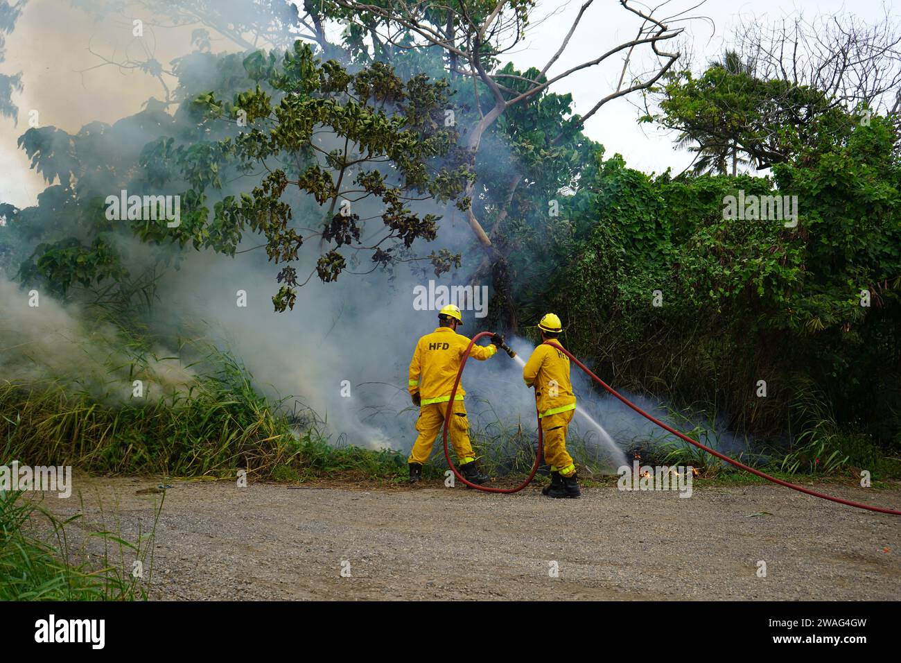 Kahuku, HI - Jan 3, 2024: Honolulu Fire Department HFD firefighters responding to wild brush fire in Oahu. Allegedly, the fire was intentionally set a Stock Photo