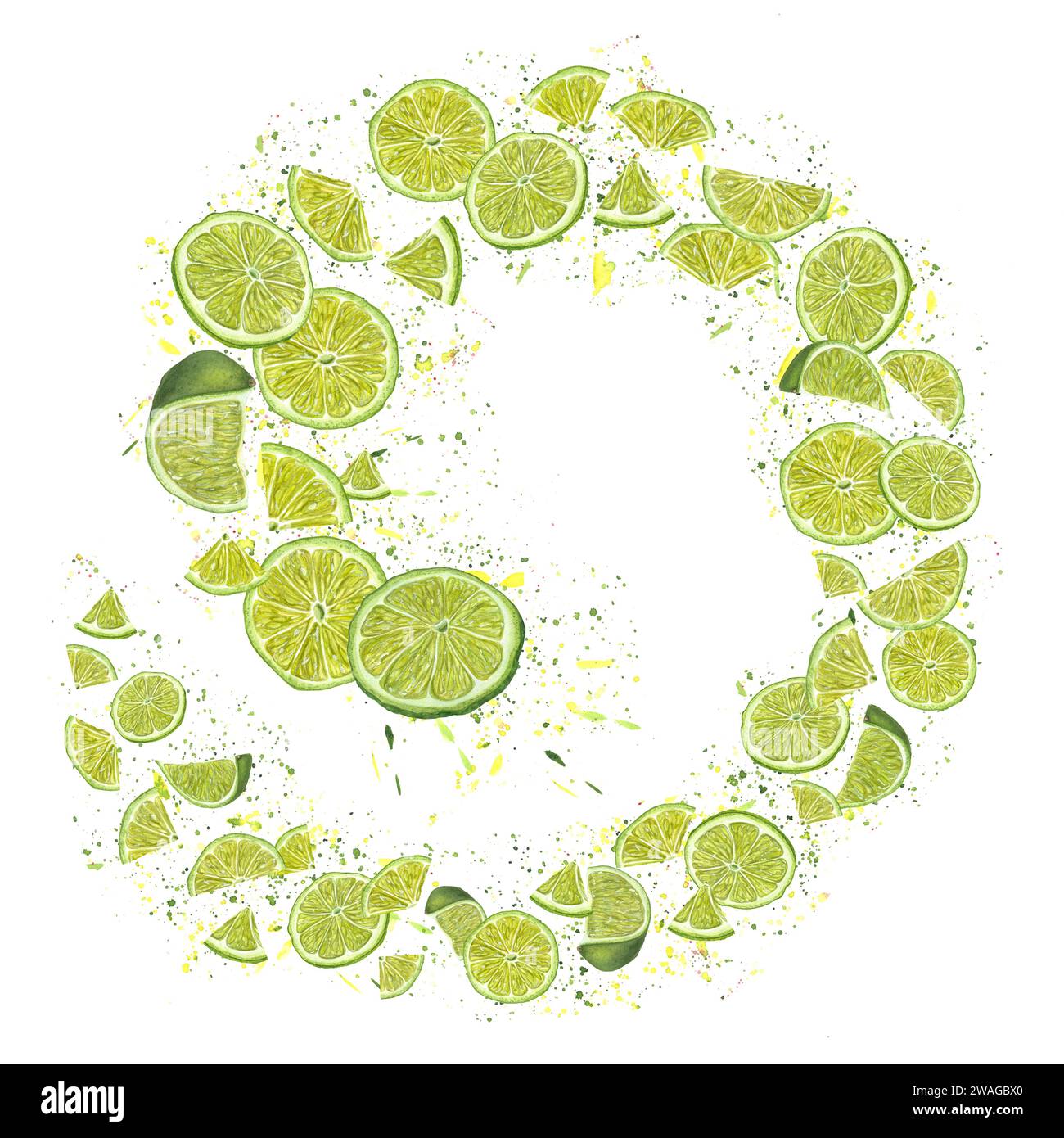 Swirl of lime slices in circular spiral. Ripe citrus fruits on background of splashes of juice. Colored confetti, flying abstract dots. Stock Photo