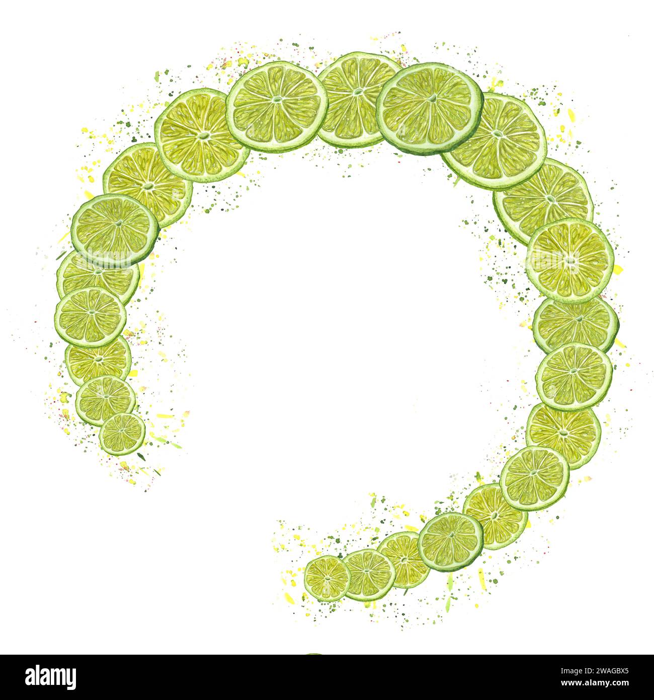 Semicircle of lime wedges. Citrus slices in juice splash. Fruit swirl, texture, colored dots. Yellow green confetti. Watercolor illustration Stock Photo