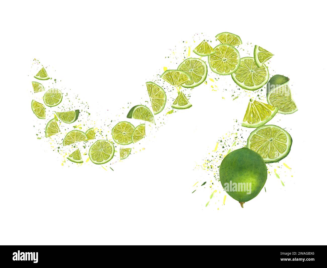 Spiral swirl of lime slices. Ripe citrus on a background of juice splashes. Colored confetti, flying abstract dots. Watercolor illustration Stock Photo