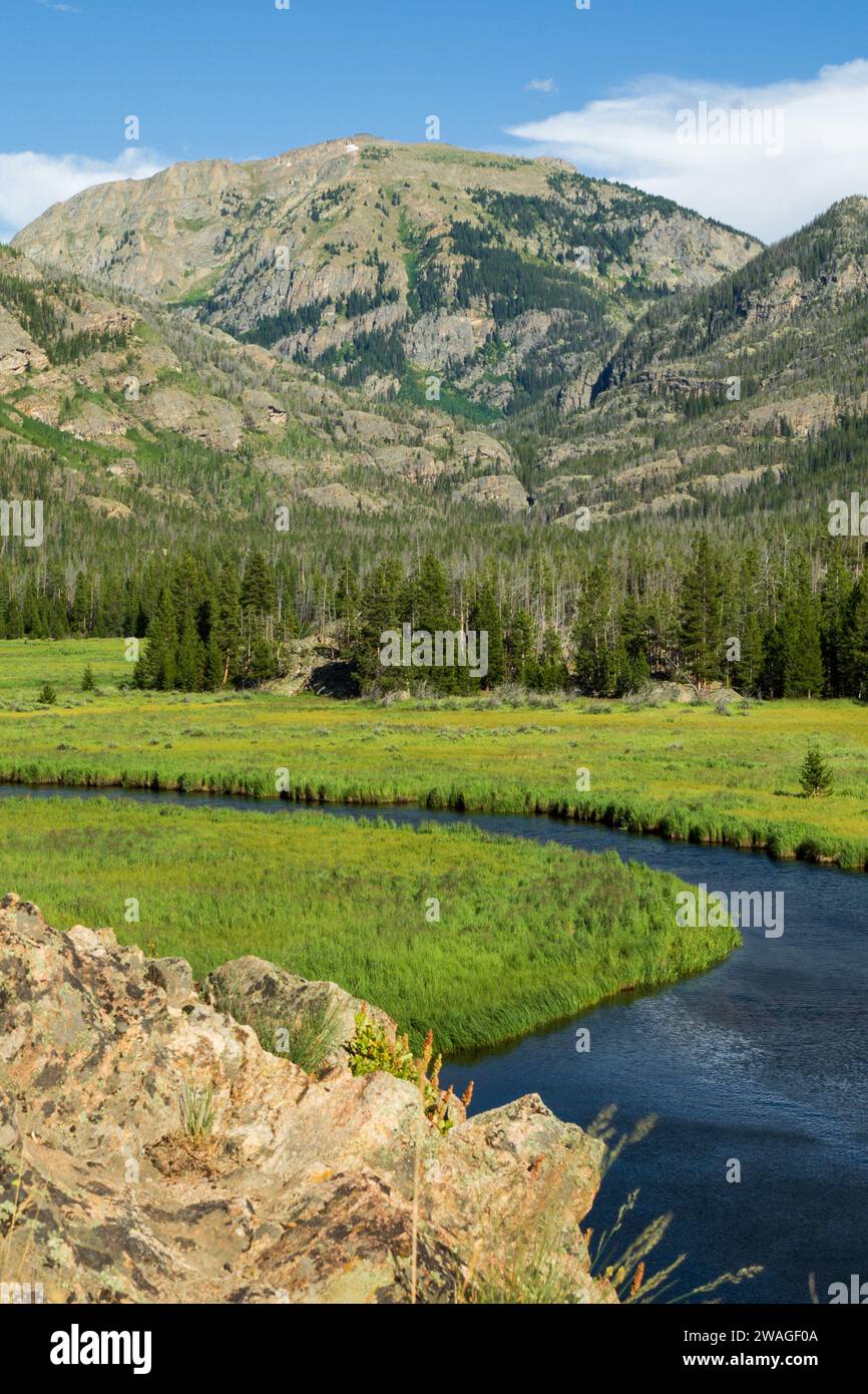 A serene view of a lush green grassy field in a picturesque river ...