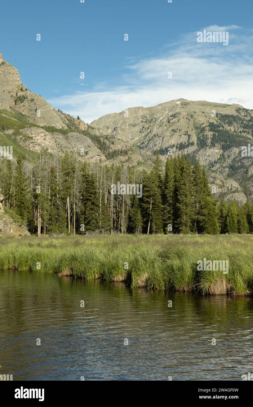 A serene view of a lush green grassy field in a picturesque river ...