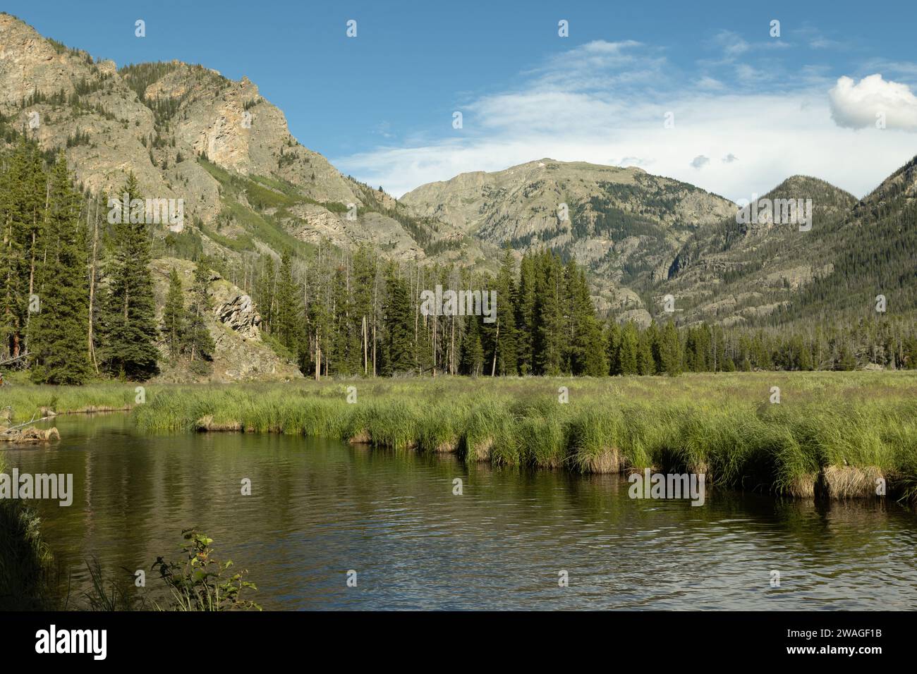 A serene view of a lush green grassy field in a picturesque river ...