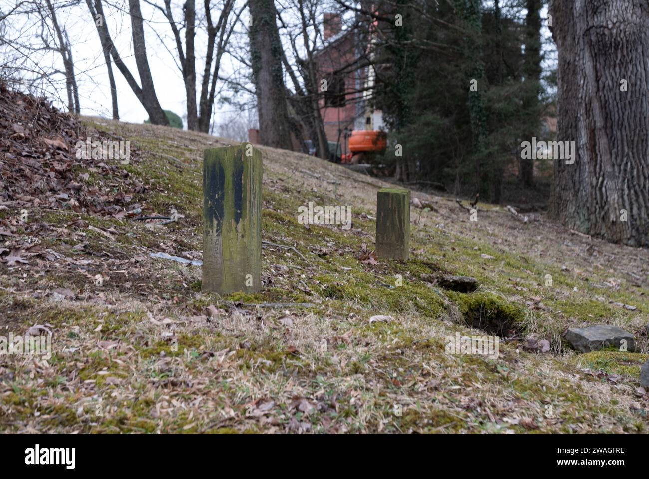 Johnson City, Tennessee United States 20230116 Tree Streets Historic