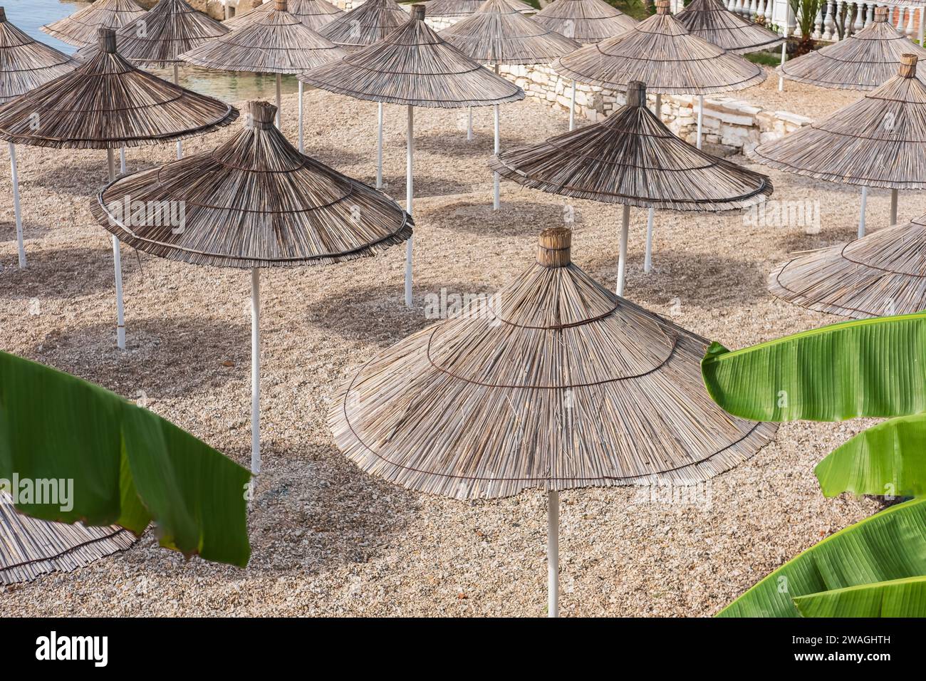 Reed Beach Umbrellas. Row of beach umbrellas on an summer beach. Straw umbrellas, palm trees. Nobody, copy space for text, travel photo Stock Photo