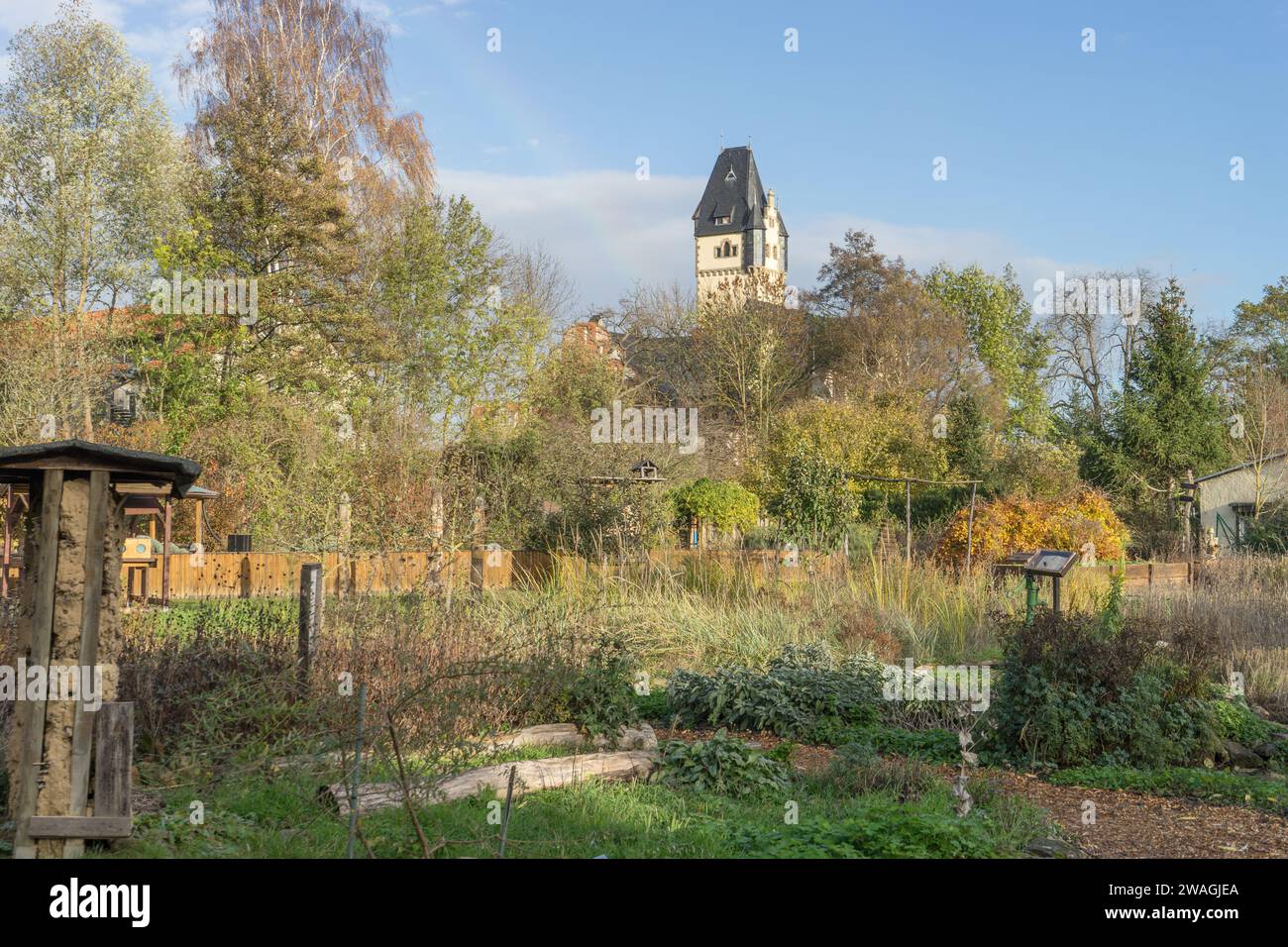 Natural garden with Wilhelminian style villa Wipertistraße in Quedlinburg in autumn Stock Photo