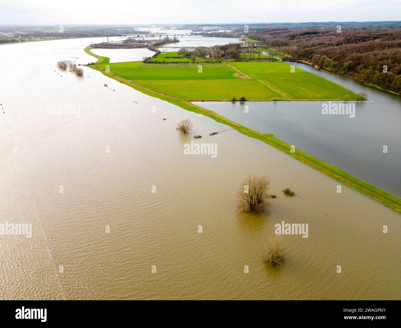 High water levels in the Rhine river in Jan 2024 near Doorwerth