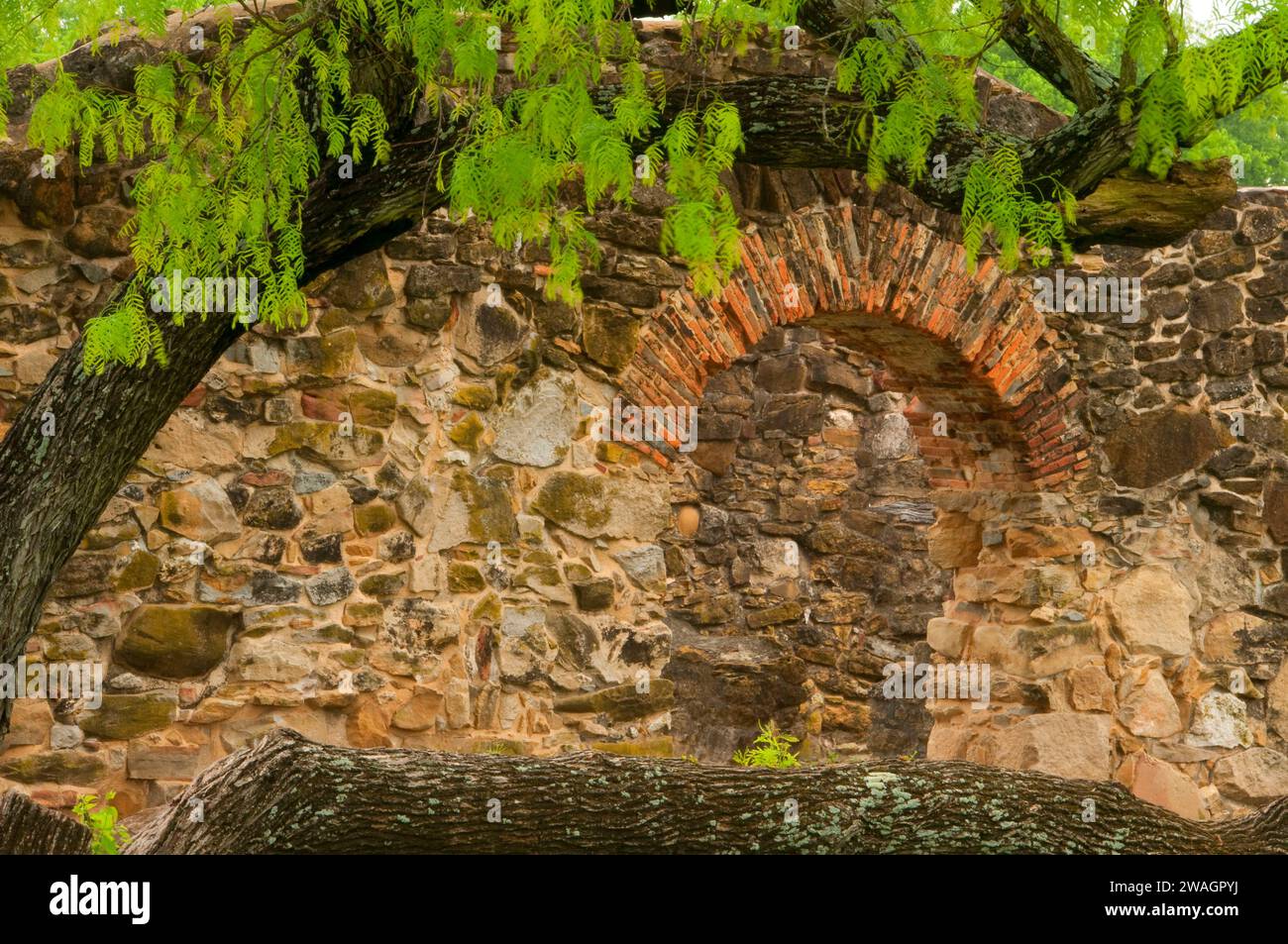 Wall ruins at Mission Espada, San Antonio Missions National Historical
