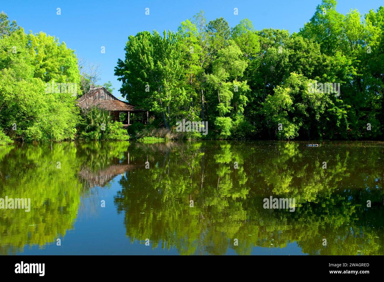 Pond with log cabin, San Antonio Botanical Garden, San Antonio, Texas ...