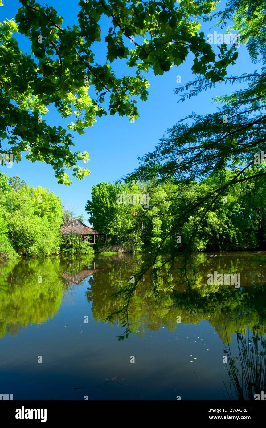 Pond with log cabin, San Antonio Botanical Garden, San Antonio, Texas ...