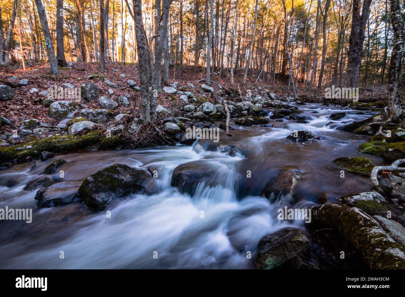Stokes State Forest in Sussex County, NJ, Flatbrook runs along the Blue Mountain Trail in on a late afternoon in early winter Stock Photo