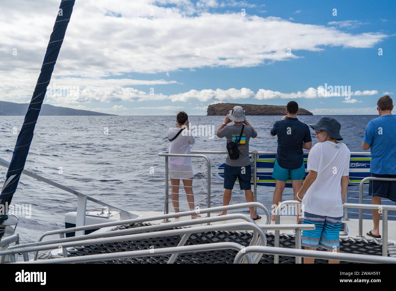 Visitors photographing a humpback whale off Maui's coast Stock Photo ...