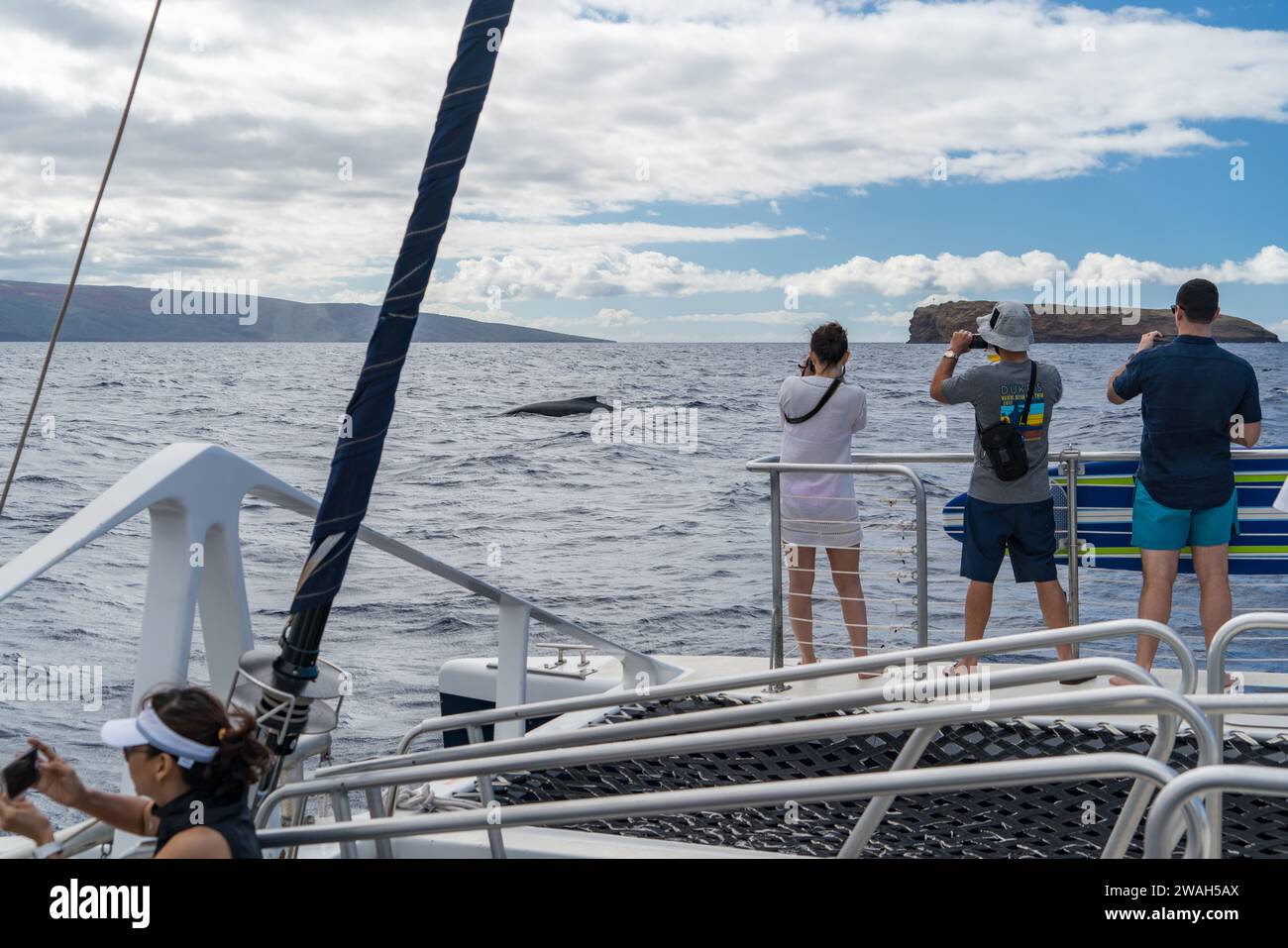 Visitors photographing a humpback whale off Maui's coast Stock Photo ...