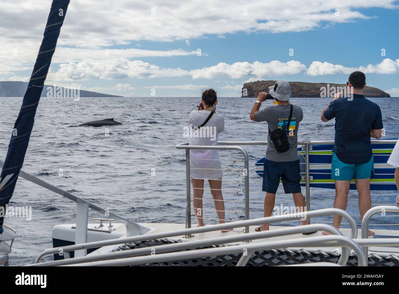 Visitors photographing a humpback whale off Maui's coast Stock Photo ...