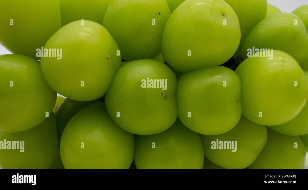 Cluster of ripe shine muscat large green korean grapes Stock Photo Alamy