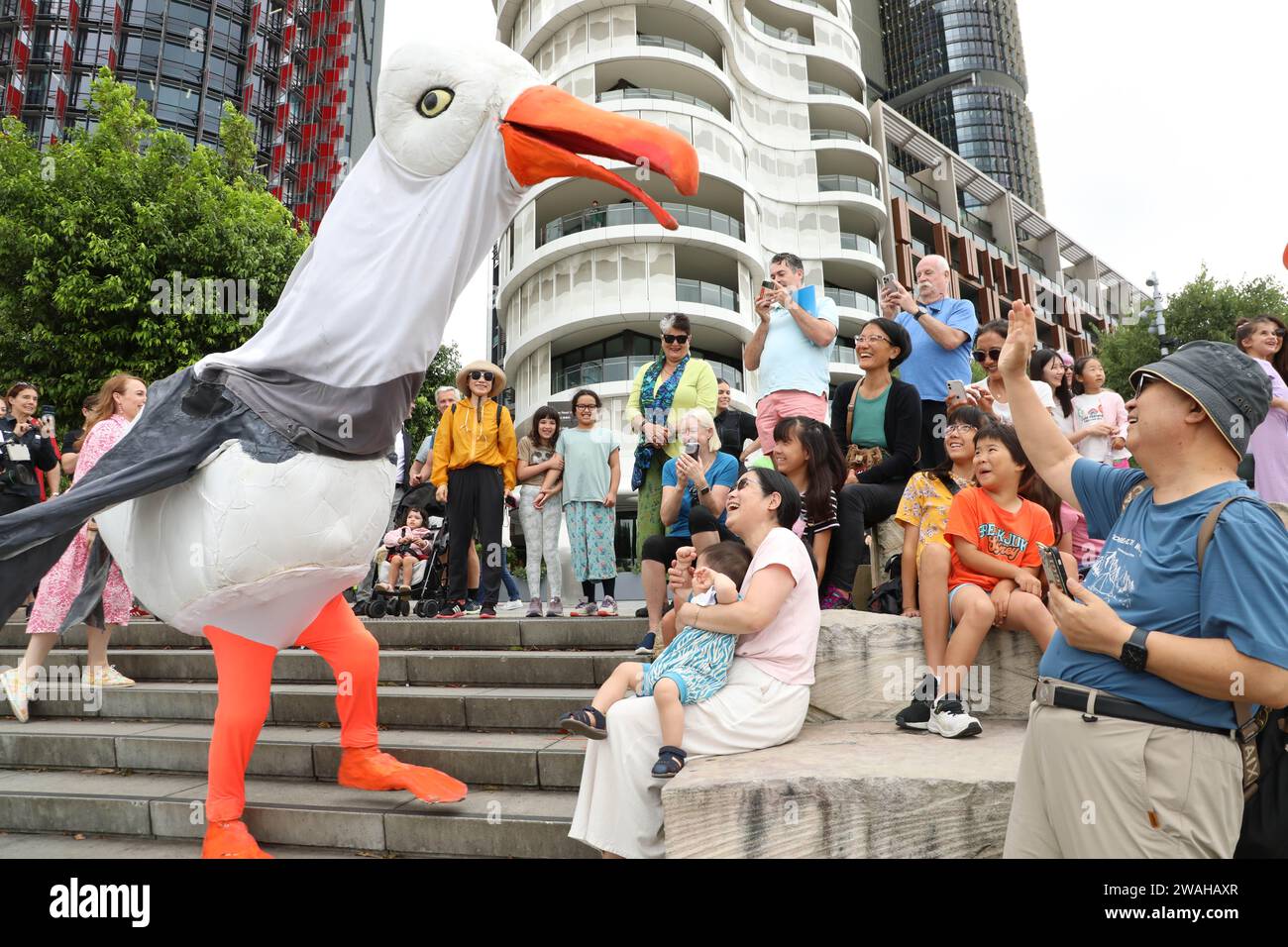 Sydney Australia 5th January 2024 Sydney Festival Opens Today With A   Sydney Australia 5th January 2024 Sydney Festival Opens Today With A City Wide Celebration Of Art Through To 28 January Pictured Four Metre Tall Seagulls By Snuff Puppets Causing Mischief Credit Richard Milnesalamy Live News 2WAHAXR 