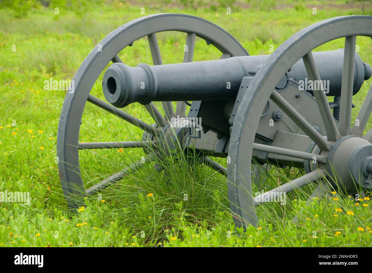 American cannon along Battlefield Trail, Palo Alto Battlefield National ...