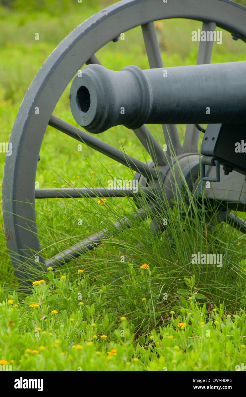 American cannon along Battlefield Trail, Palo Alto Battlefield National Historic Park, Texas Stock Photo