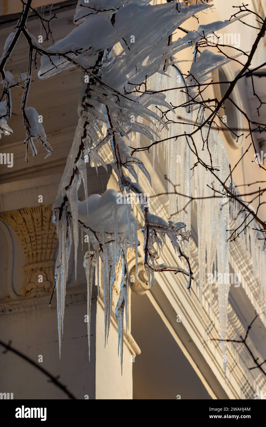 Heavily icy tree branches hi-res stock photography and images - Alamy
