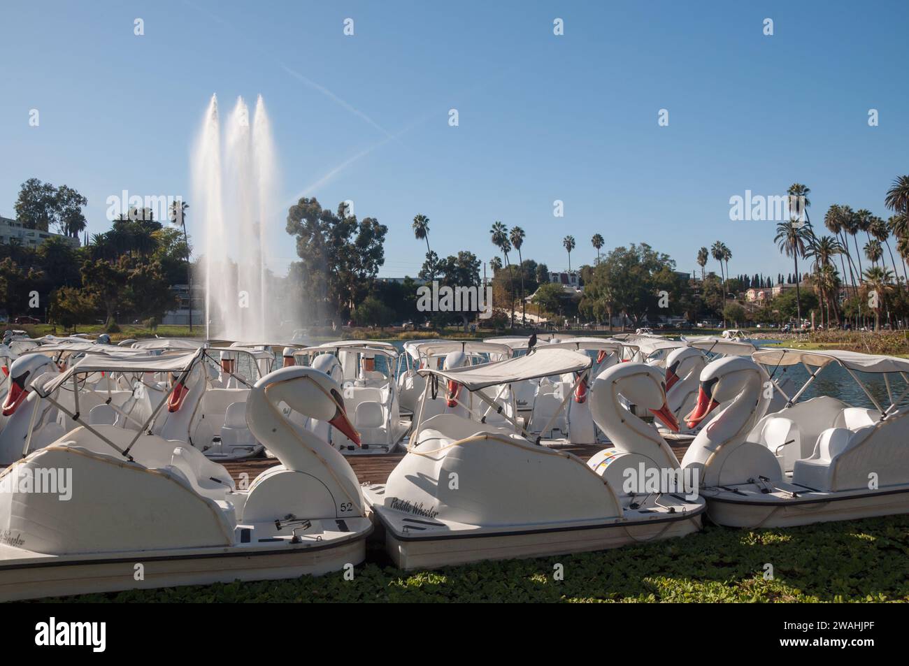 LOS ANGELES, CA, USA OCTOBER 29, 2022 Swan boats for rent on Echo