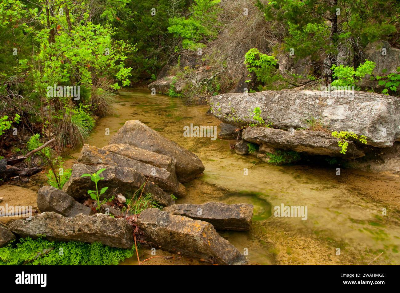 Doeskin Branch Creek, Doeskin Ranch UnitBalcones Canyonlands National