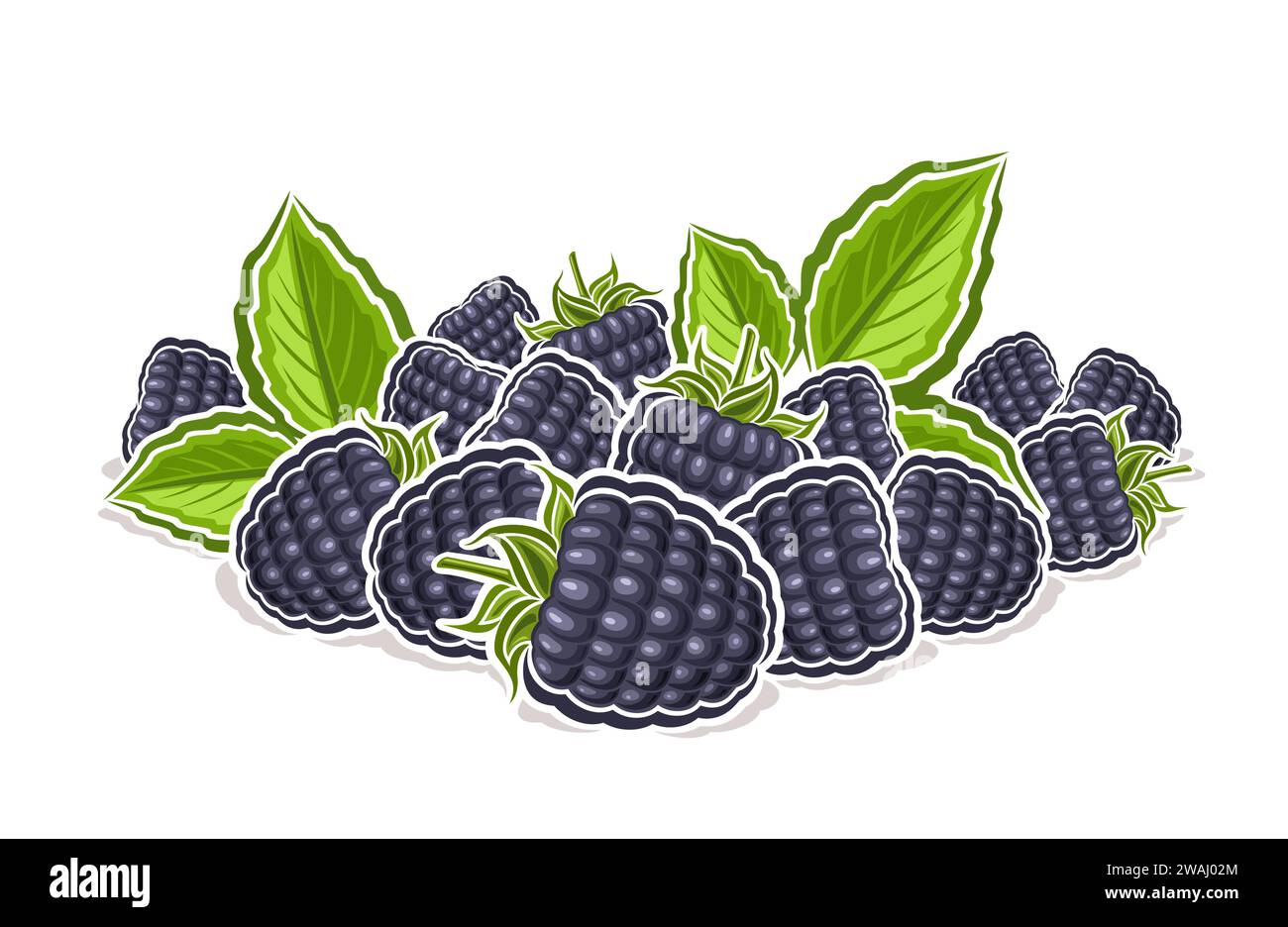 Vector logo for Blackberry, decorative horizontal poster with outline illustration of ripe blackberry composition with green sprigs, cartoon design fr Stock Vector