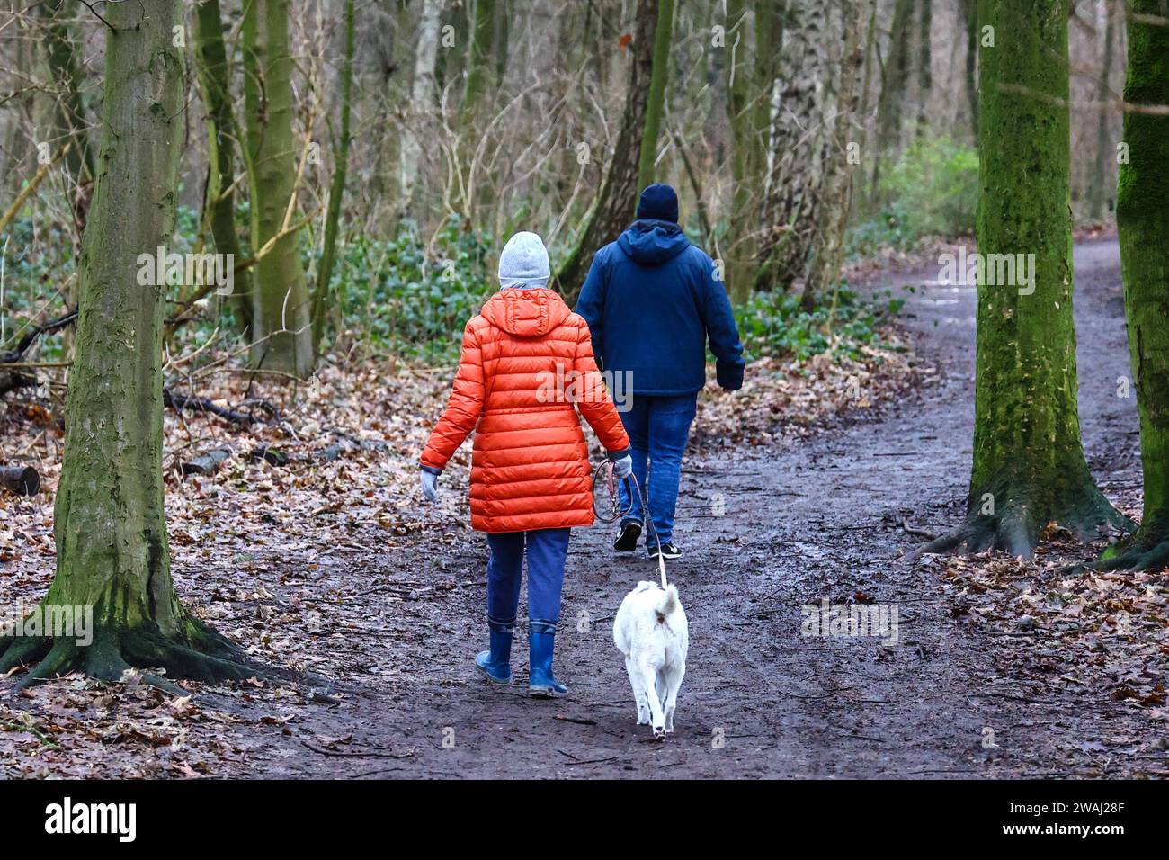 Ehepaar beim Gassi gehen mit Hund *** Couple walking their dog Copyright xLobeca/RHx Stock