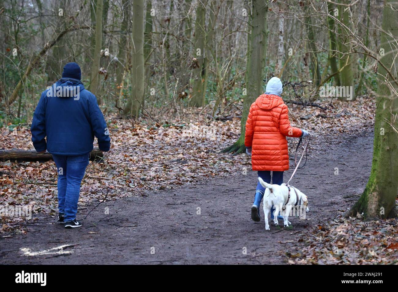 Rentner Ehepaar beim Gassi gehen mit Hund *** Retired couple walking their dog Copyright: xLobeca/RHx Stock Photo