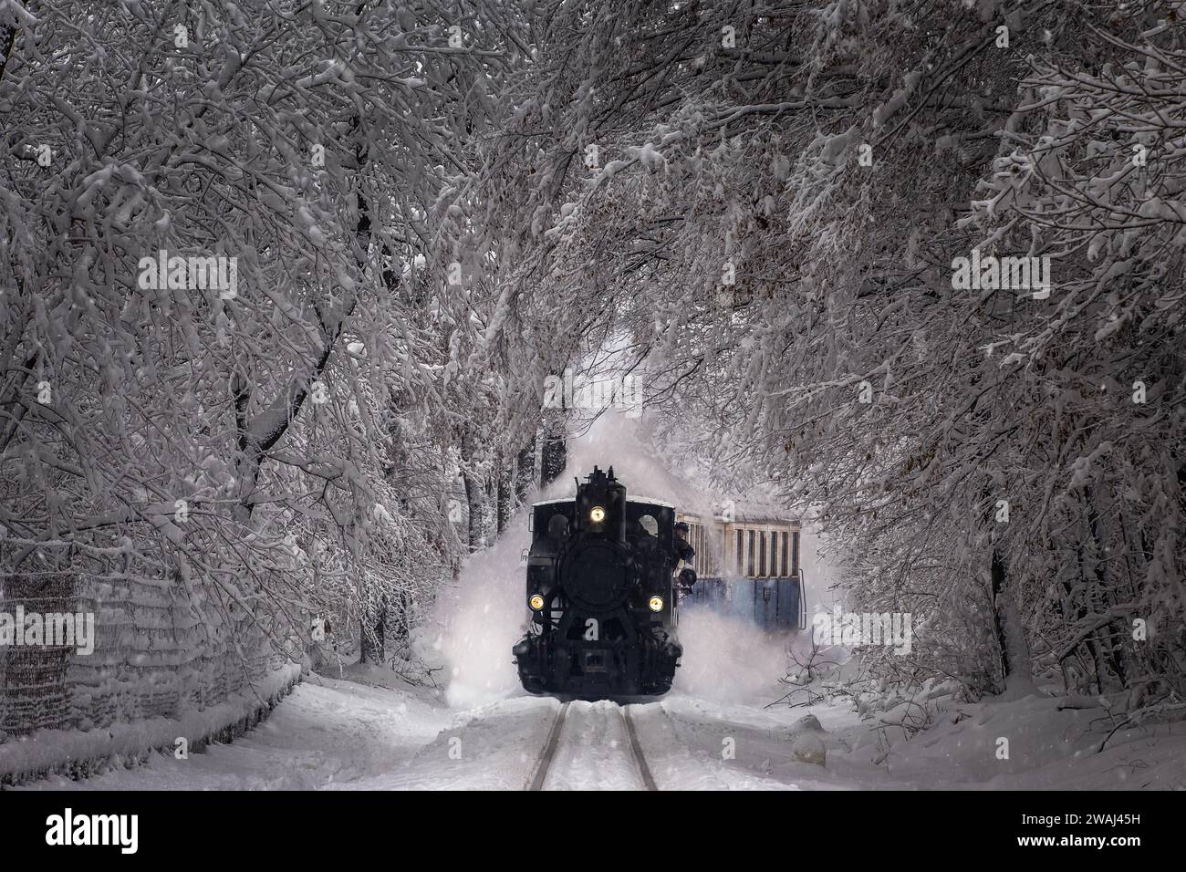 Budapest, Hungary - Beautiful winter forest scene with snowing, snowy forest and old nostalgic tank engine (children's train) on the track in the Buda Stock Photo
