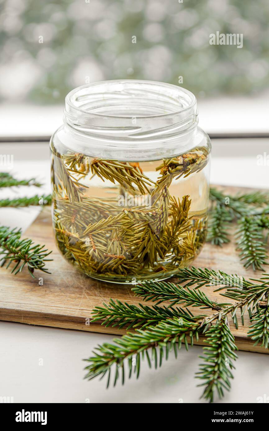 Making syrup of fresh spruce Picea needles. Glass jars with needles infused with water in home kitchen. Stock Photo