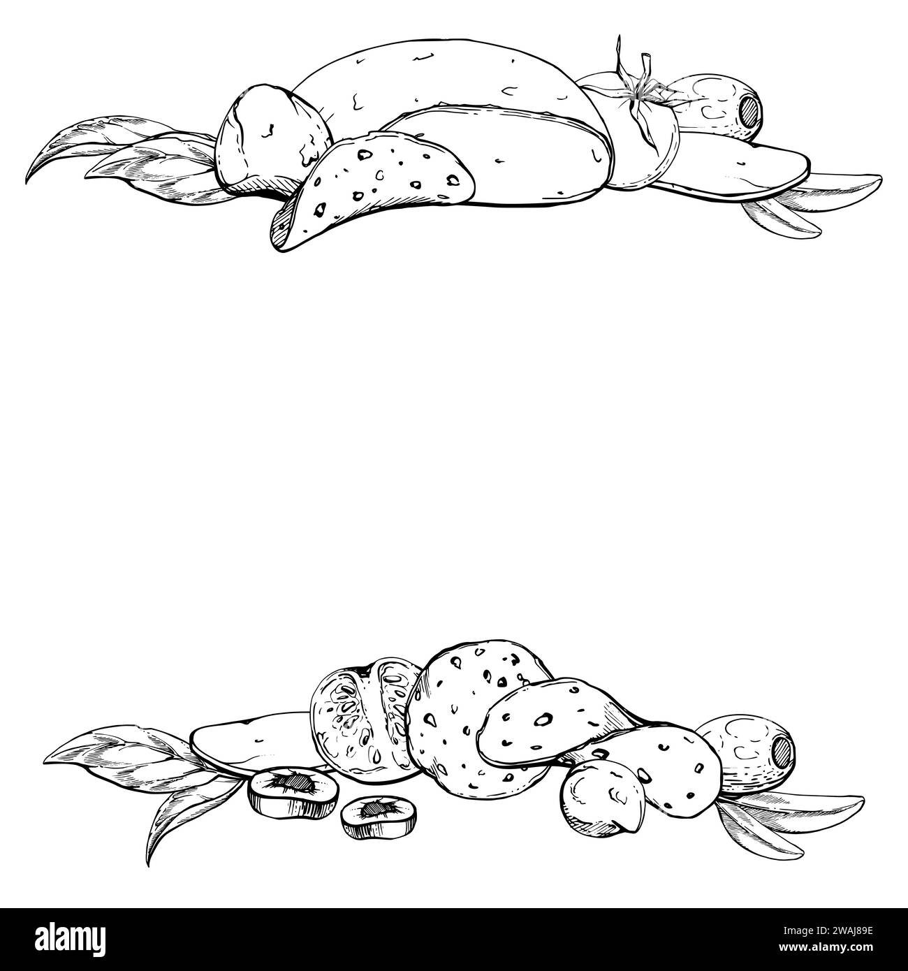 Hand drawn vector ink illustration. Pizza ingredients mozzarella cheese