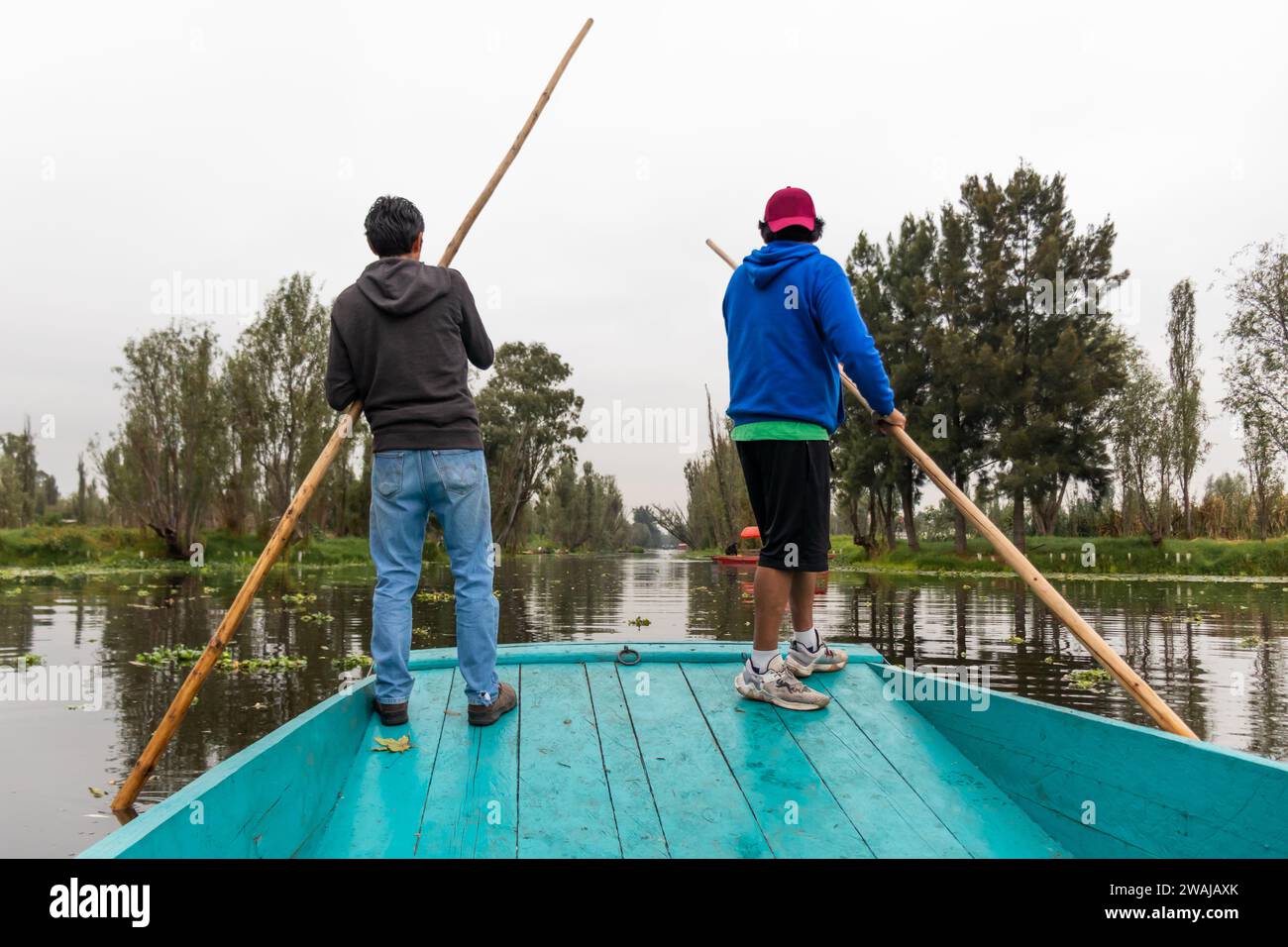 Anonymous two local guides navigate a trajinera through the tranquil canals of Xochimilco at dawn Stock Photo