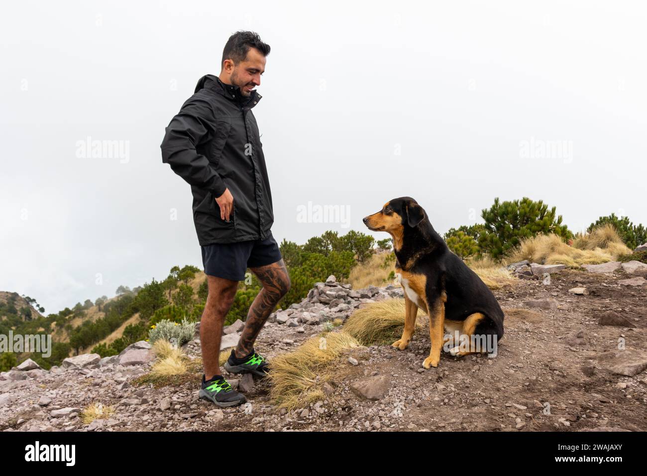 Side view of man enjoys hiking with his attentive dog on the rocky trails of Cumbres del Ajusco National Park near Pico del Aguila summit Stock Photo