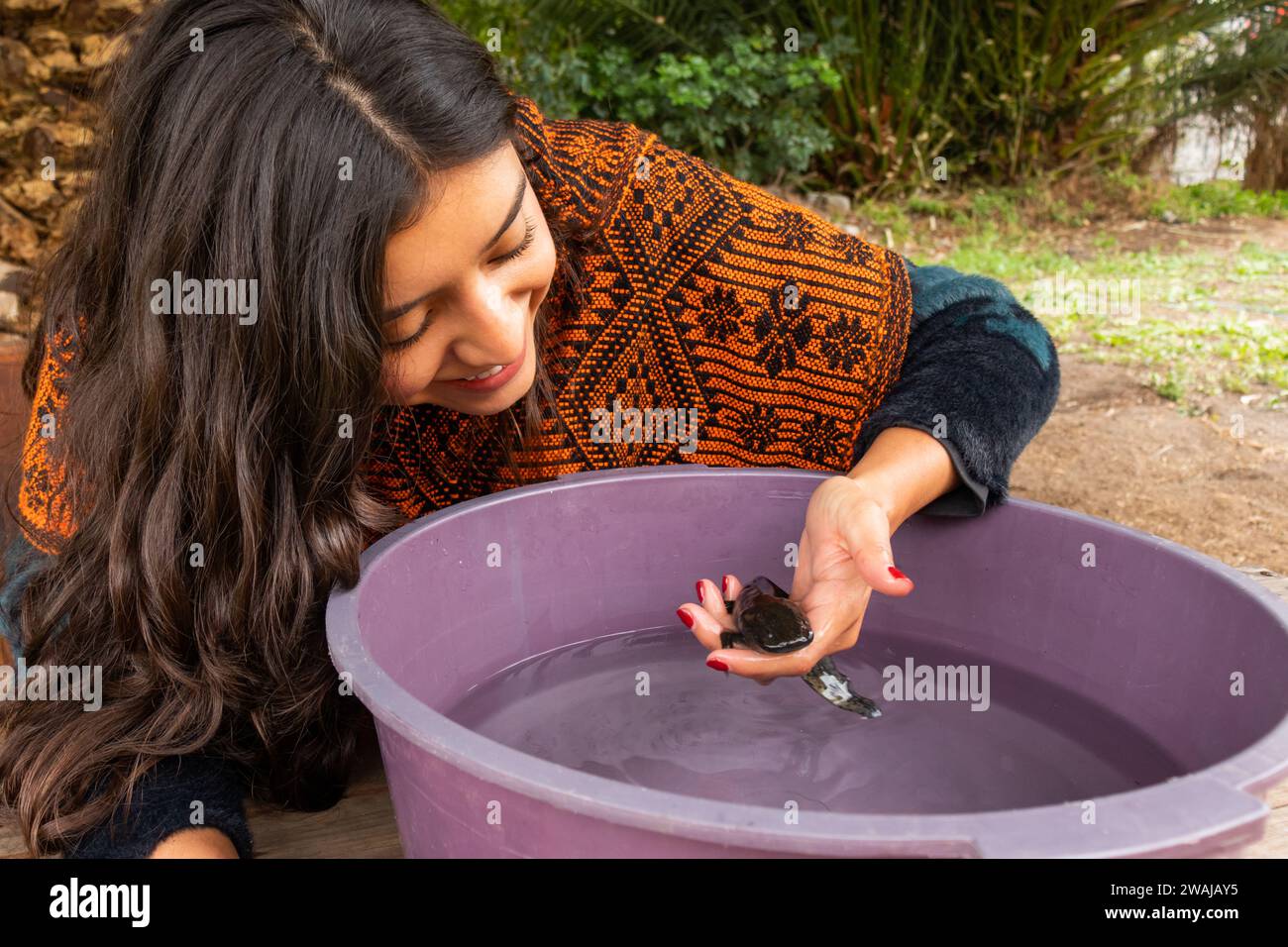 Woman gently holds a Mexican Ajolote in water showing a moment of care and conservation Stock Photo