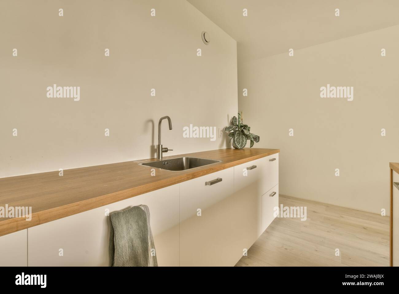 Stainless steel sink with faucet at long wooden countertop in contemporary apartment with cabinets and wall Stock Photo