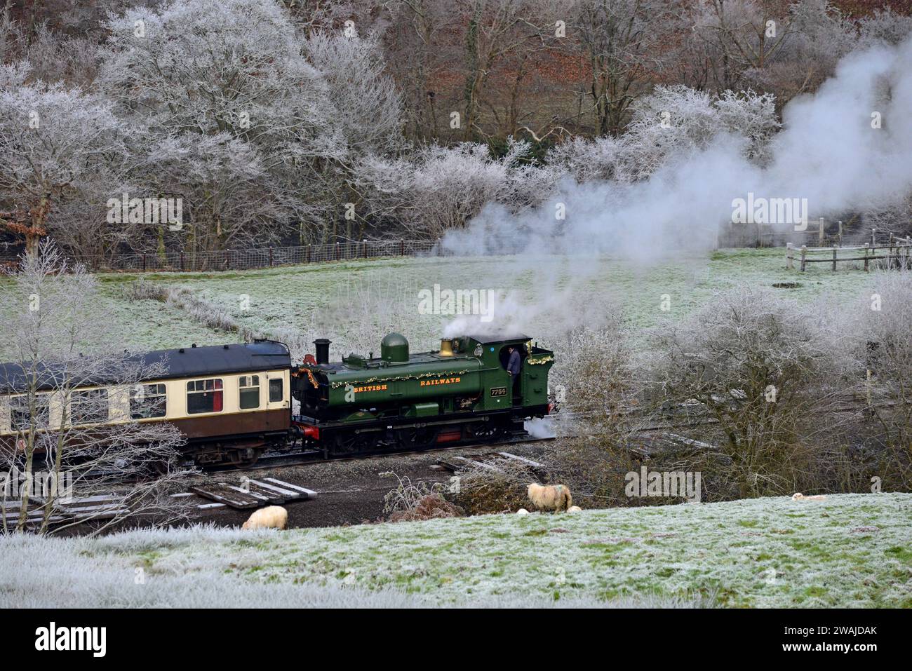 Newly restored GWR pannier tank 7754 pulling a Santa special Christmas