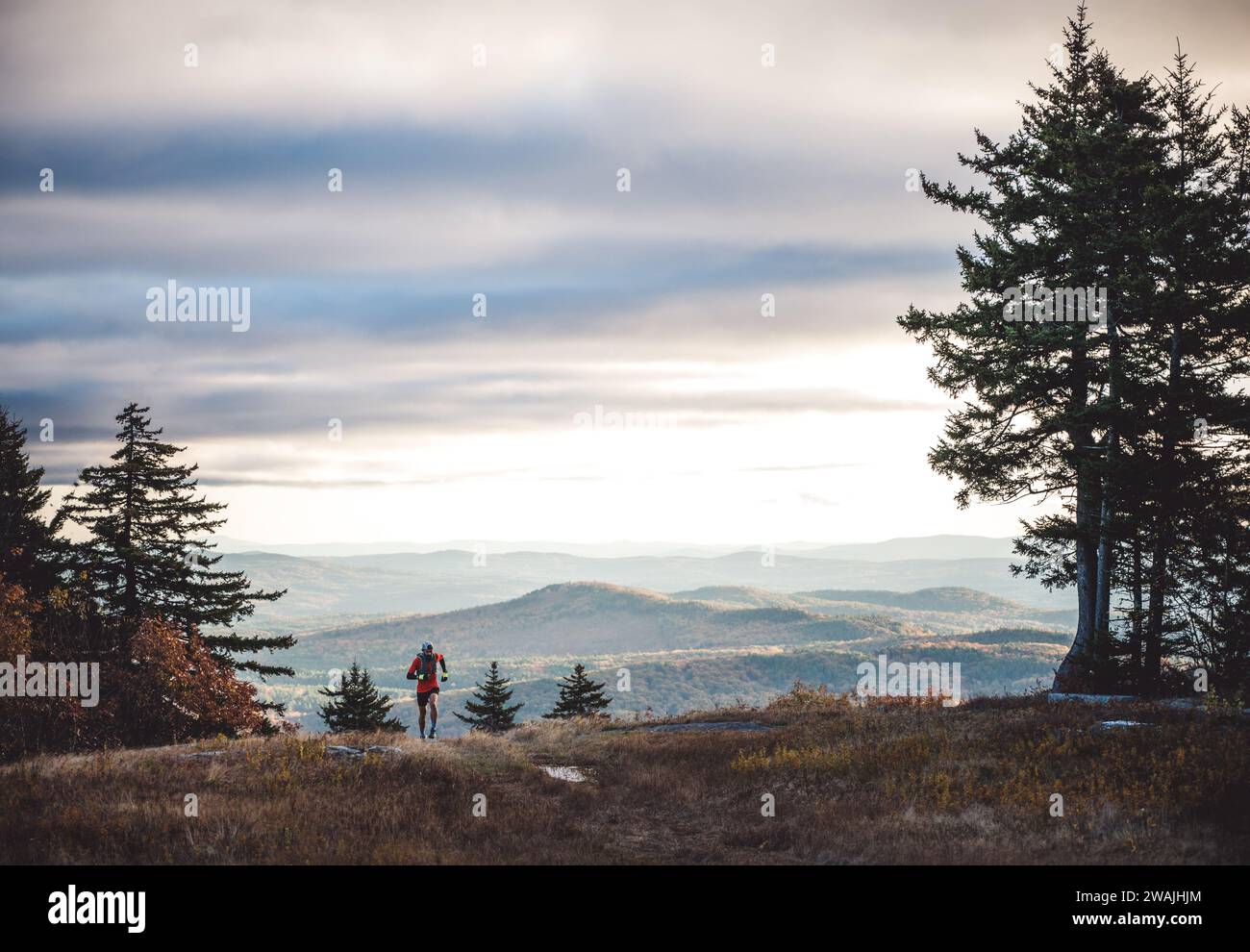 Man trail running in mountains during foliage season Stock Photo - Alamy