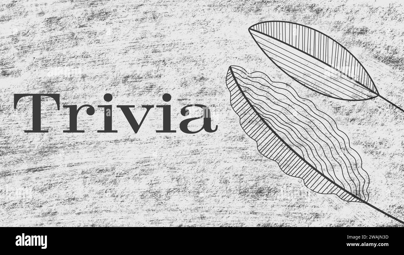 Trivia Old Vintage Scratches Leaves Black White Text Stock Photo