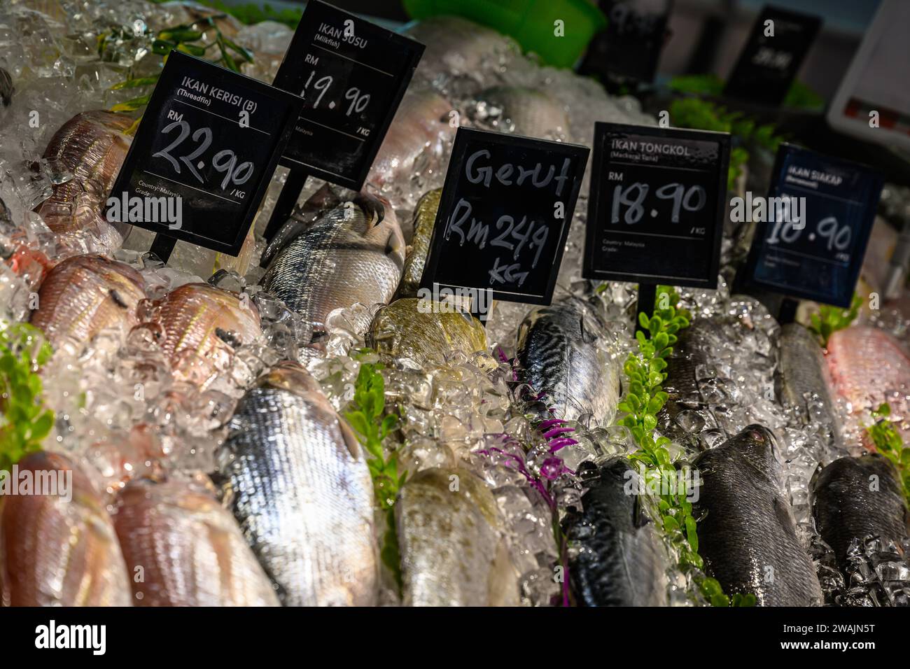 Fresh fish on sale in a Malaysian supermarket hall Stock Photo Alamy