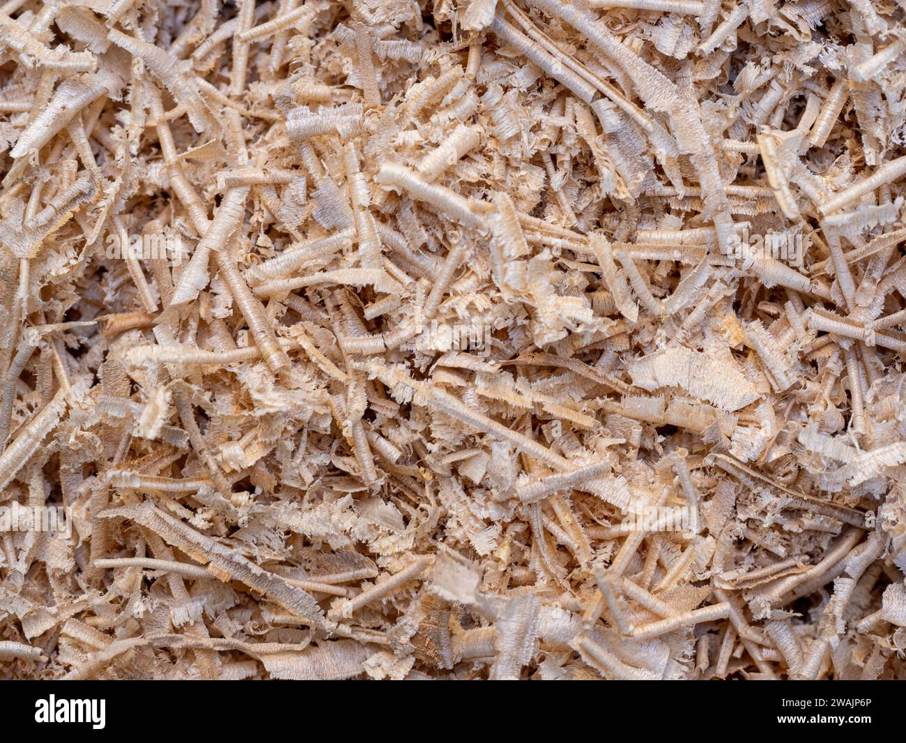 sawdust and shavings. natural wood material for agriculture. mulch to