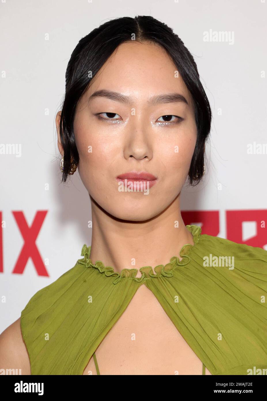 LOS ANGELES, CA JANUARY 4 Madison Hu at the Netflix Premiere Of The(06)