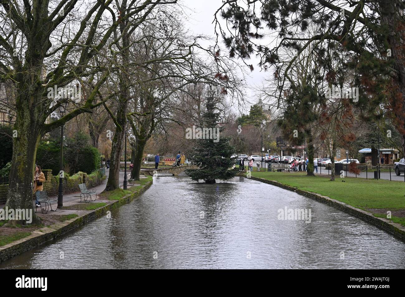 The Christmas tree in the Cotswold village of Bourton on the Water stands in the middle of the River Windrush as it flows through the village Stock Photo
