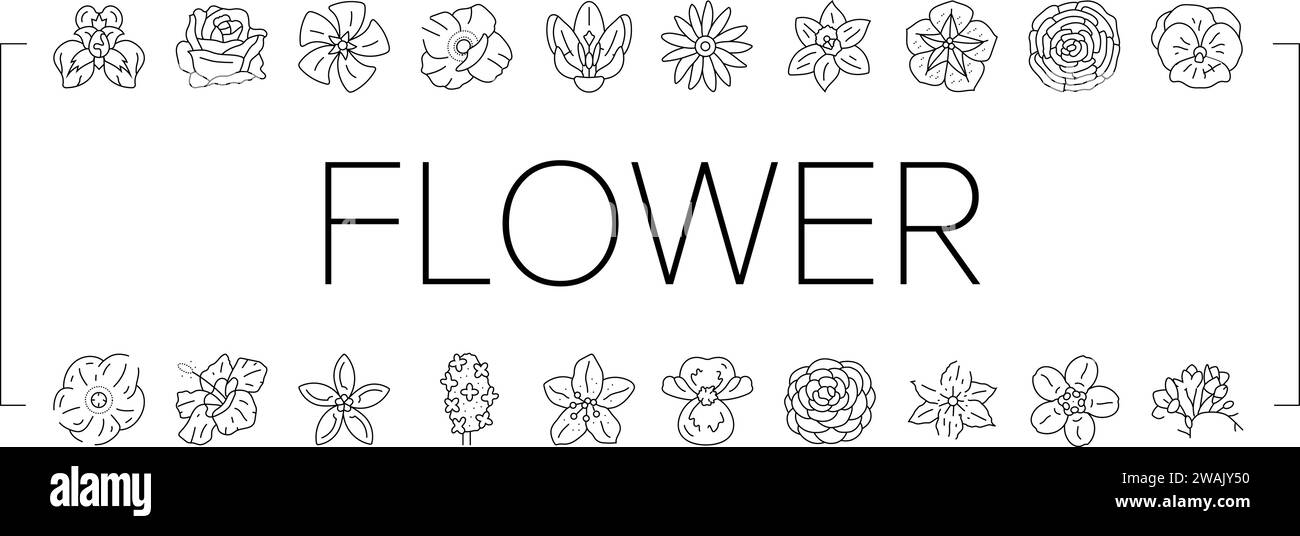 flower blossom spring icons set vector Stock Vector Image & Art - Alamy