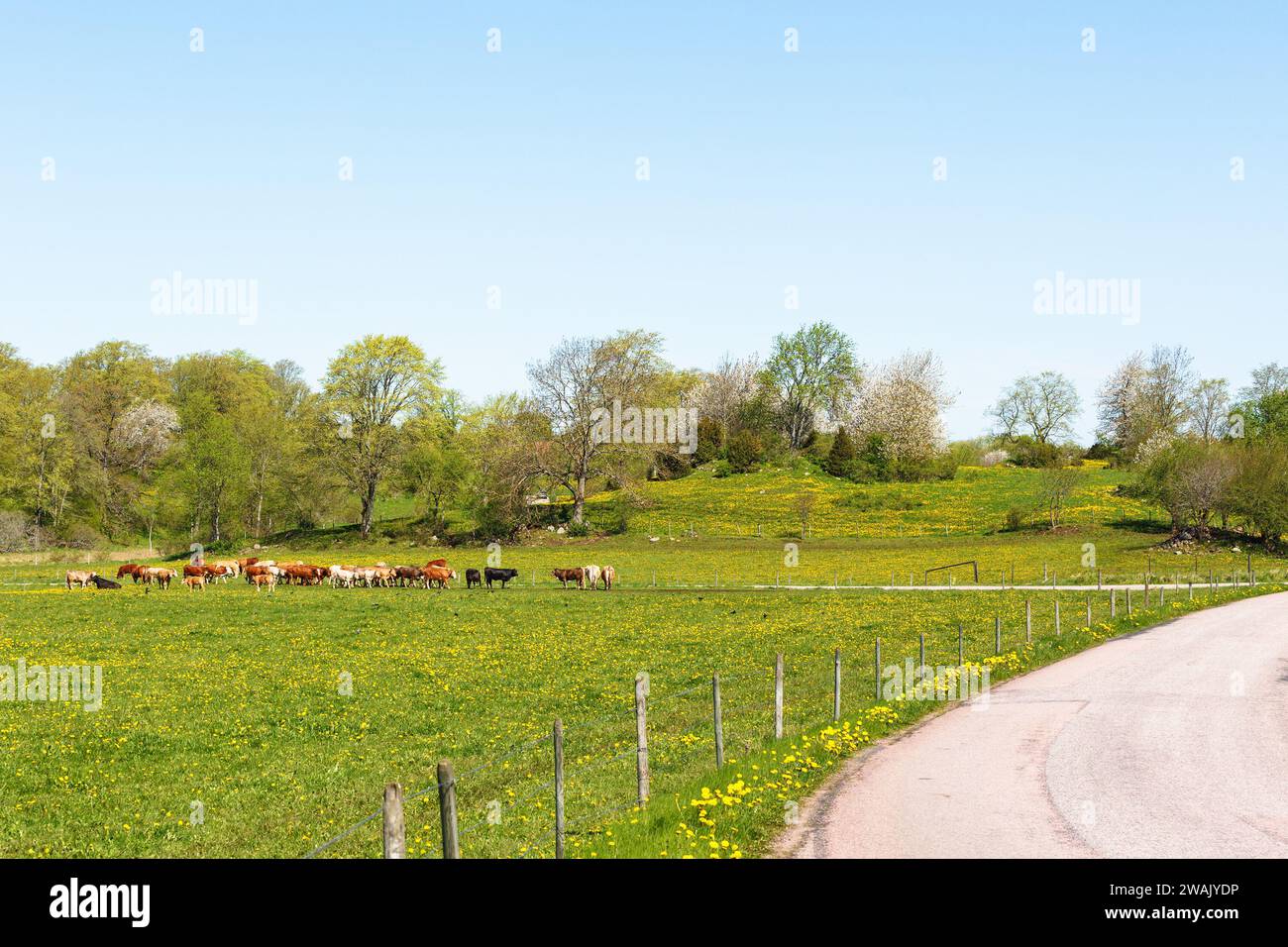 Mascow Rural Rural areas agriculture hi-res stock photography and images - Alamy