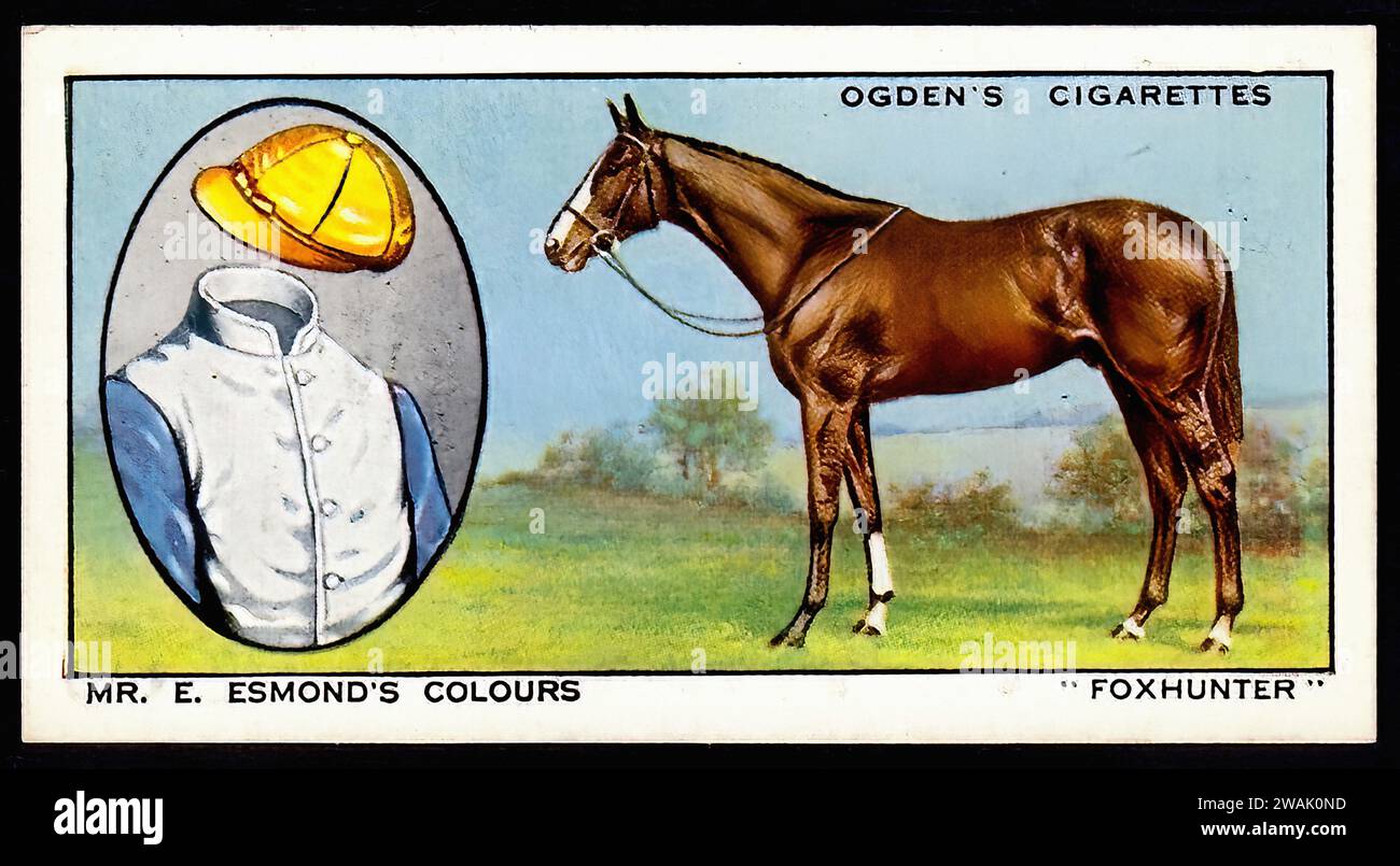 Foxhunter - Vintage Ogden's Racehorses Illustration, Horse Racing Stock Photo