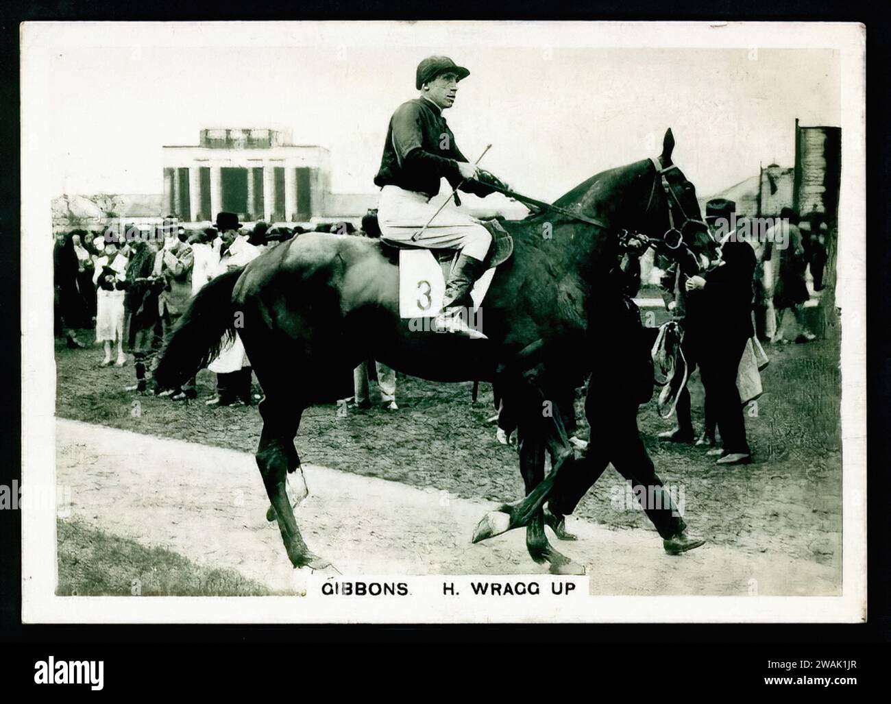 Racehorse, Gibbons - Vintage Cigarette Card Illustration, Horse Racing ...